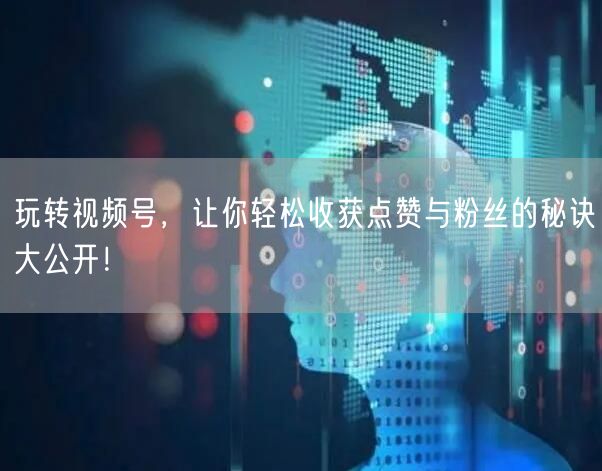 玩转视频号，让你轻松收获点赞与粉丝的秘诀大公开！