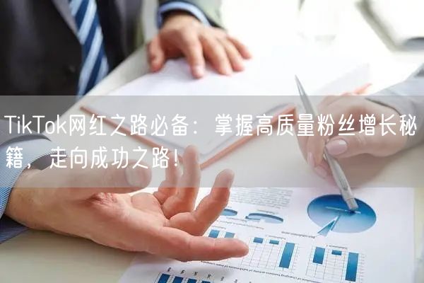TikTok网红之路必备：掌握高质量粉丝增长秘籍，走向成功之路！