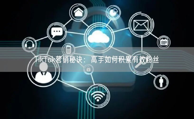 TikTok营销秘诀：高手如何积累有效粉丝