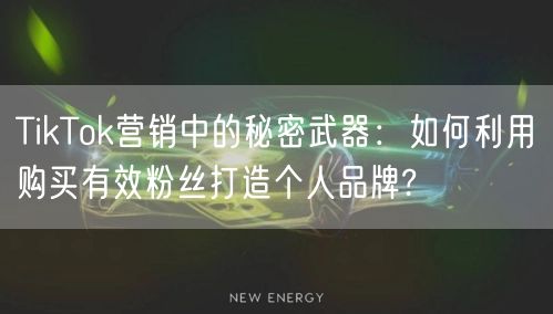 TikTok营销中的秘密武器：如何利用购买有效粉丝打造个人品牌?