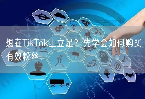 想在TikTok上立足？先学会如何购买有效粉丝！