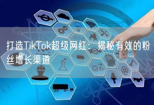 打造TikTok超级网红：揭秘有效的粉丝增长渠道