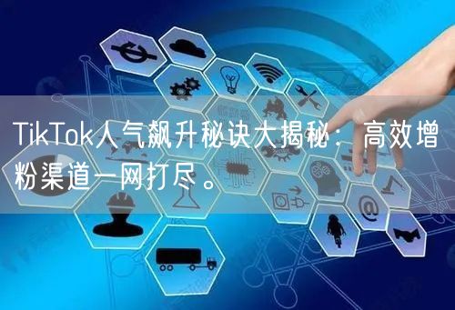 TikTok人气飙升秘诀大揭秘：高效增粉渠道一网打尽。