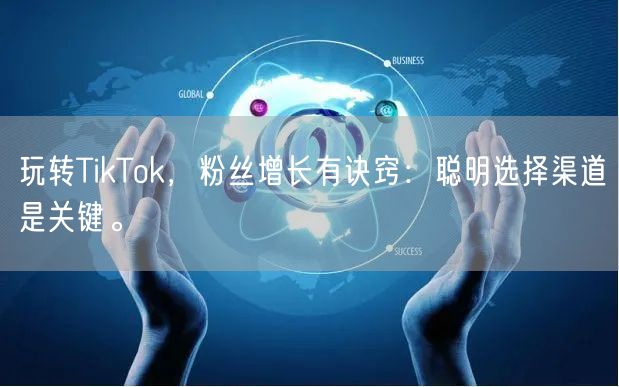玩转TikTok，粉丝增长有诀窍：聪明选择渠道是关键。