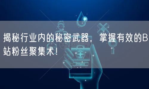 揭秘行业内的秘密武器，掌握有效的B站粉丝聚集术！