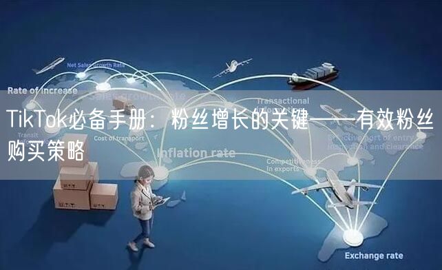 TikTok必备手册：粉丝增长的关键——有效粉丝购买策略