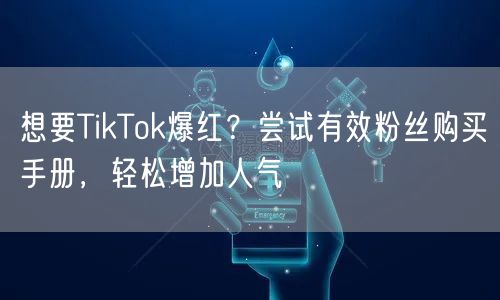想要TikTok爆红？尝试有效粉丝购买手册，轻松增加人气