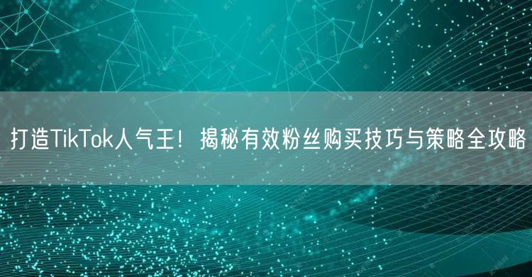 打造TikTok人气王！揭秘有效粉丝购买技巧与策略全攻略