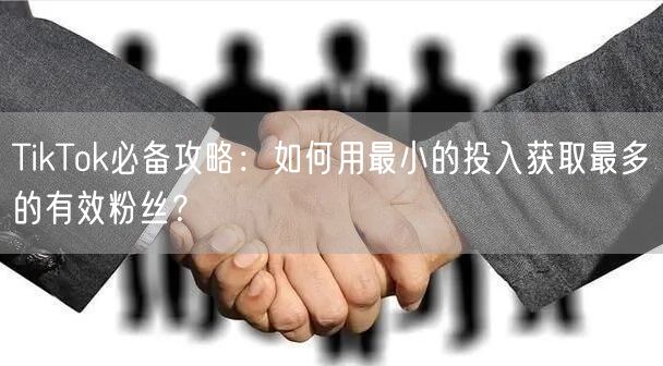 TikTok必备攻略：如何用最小的投入获取最多的有效粉丝？