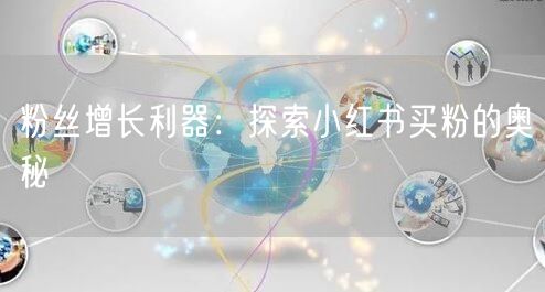 粉丝增长利器：探索小红书买粉的奥秘