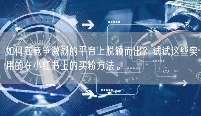 如何在竞争激烈的平台上脱颖而出？试试这些实用的在小红书上的买粉方法。