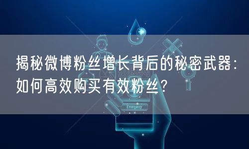 揭秘微博粉丝增长背后的秘密武器：如何高效购买有效粉丝？