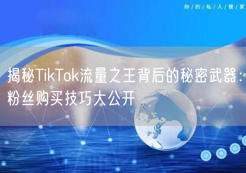 揭秘TikTok流量之王背后的秘密武器：粉丝购买技巧大公开