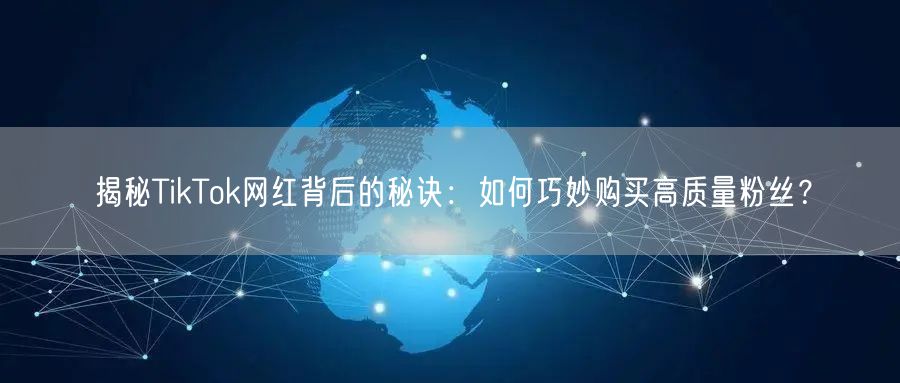揭秘TikTok网红背后的秘诀：如何巧妙购买高质量粉丝？
