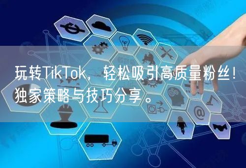 玩转TikTok，轻松吸引高质量粉丝！独家策略与技巧分享。