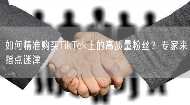 如何精准购买TikTok上的高质量粉丝？专家来指点迷津