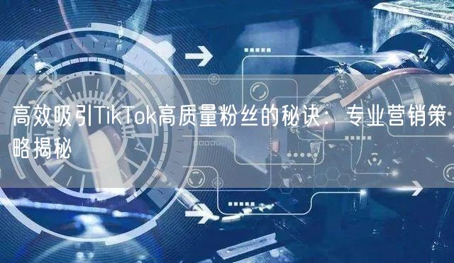 高效吸引TikTok高质量粉丝的秘诀：专业营销策略揭秘