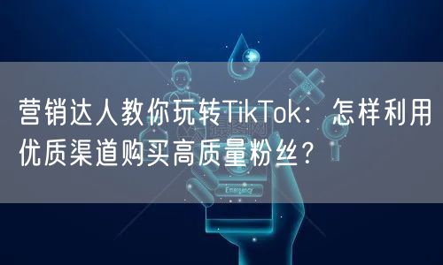 营销达人教你玩转TikTok：怎样利用优质渠道购买高质量粉丝？