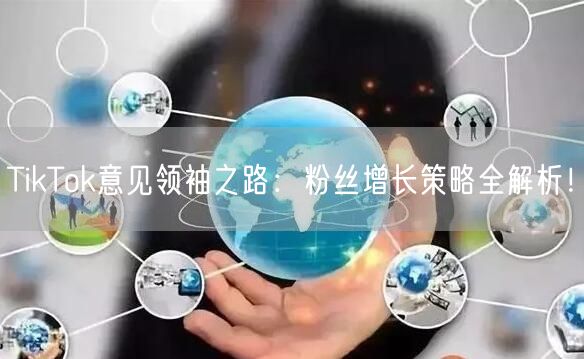 TikTok意见领袖之路：粉丝增长策略全解析！