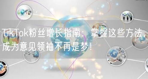 TikTok粉丝增长指南：掌握这些方法，成为意见领袖不再是梦！