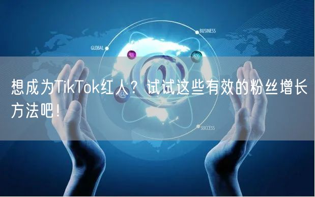 想成为TikTok红人？试试这些有效的粉丝增长方法吧！