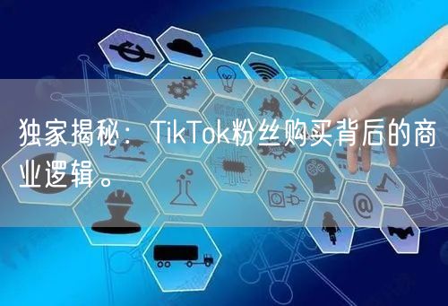独家揭秘：TikTok粉丝购买背后的商业逻辑。