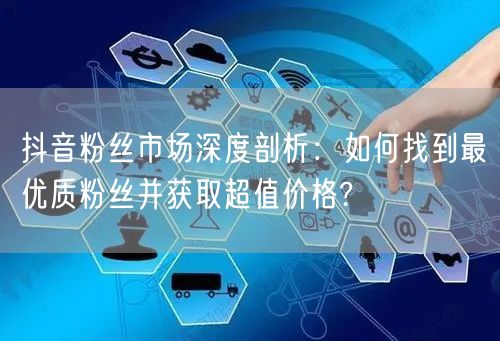 抖音粉丝市场深度剖析：如何找到最优质粉丝并获取超值价格?