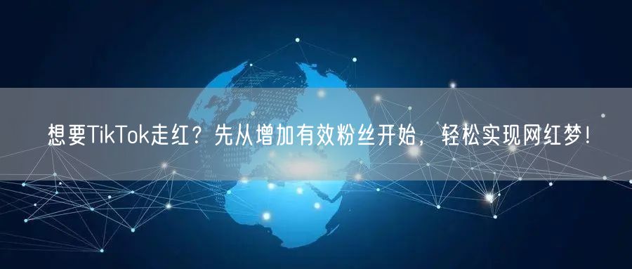 想要TikTok走红？先从增加有效粉丝开始，轻松实现网红梦！