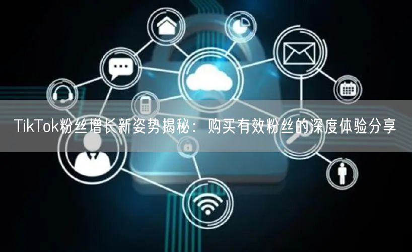 TikTok粉丝增长新姿势揭秘：购买有效粉丝的深度体验分享