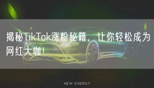 揭秘TikTok涨粉秘籍，让你轻松成为网红大咖！