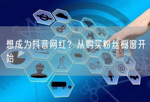 想成为抖音网红？从购买粉丝橱窗开始