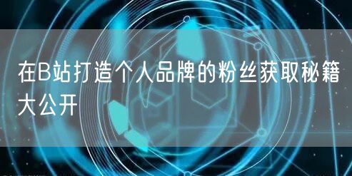 在B站打造个人品牌的粉丝获取秘籍大公开