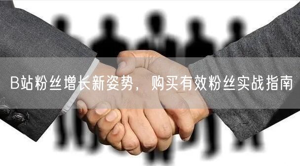 B站粉丝增长新姿势，购买有效粉丝实战指南