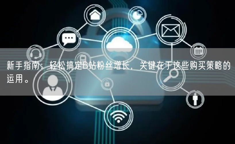 新手指南：轻松搞定B站粉丝增长，关键在于这些购买策略的运用。
