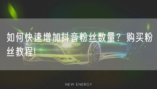 如何快速增加抖音粉丝数量？购买粉丝教程!
