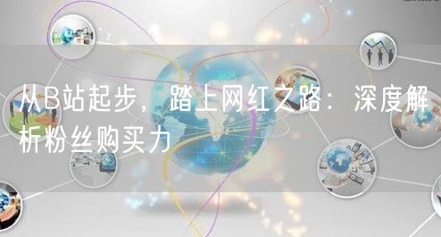 从B站起步，踏上网红之路：深度解析粉丝购买力