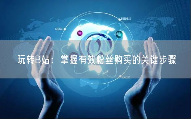 玩转B站：掌握有效粉丝购买的关键步骤