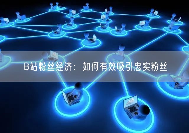B站粉丝经济：如何有效吸引忠实粉丝