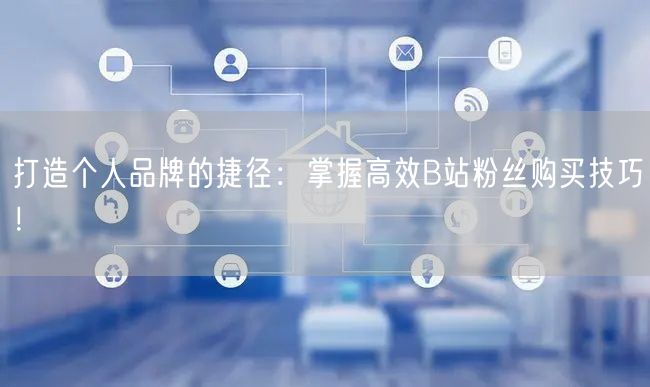 打造个人品牌的捷径：掌握高效B站粉丝购买技巧！