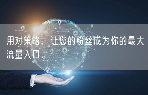 用对策略，让您的粉丝成为你的最大流量入口。