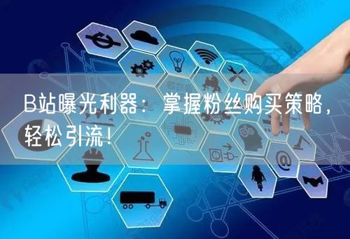 B站曝光利器：掌握粉丝购买策略，轻松引流！