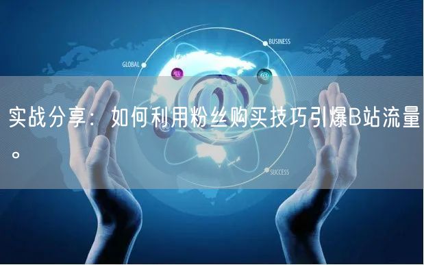 实战分享：如何利用粉丝购买技巧引爆B站流量。