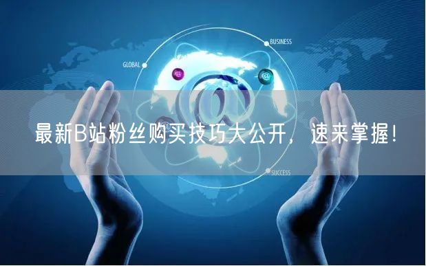 最新B站粉丝购买技巧大公开，速来掌握！