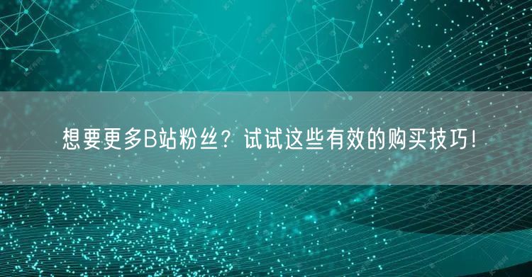 想要更多B站粉丝？试试这些有效的购买技巧！