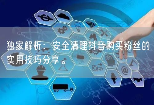 独家解析：安全清理抖音购买粉丝的实用技巧分享。