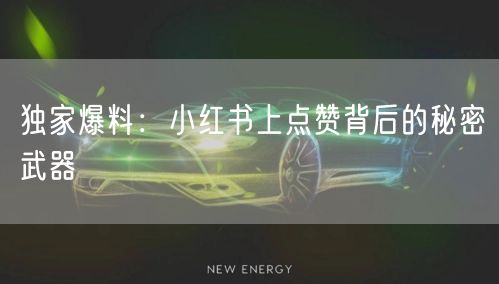独家爆料：小红书上点赞背后的秘密武器