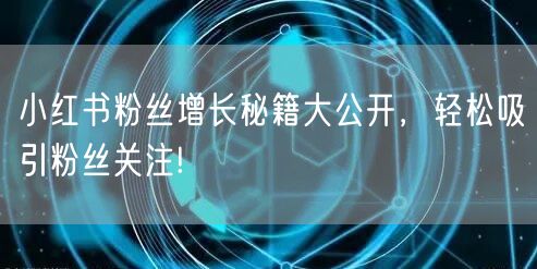 小红书粉丝增长秘籍大公开，轻松吸引粉丝关注!