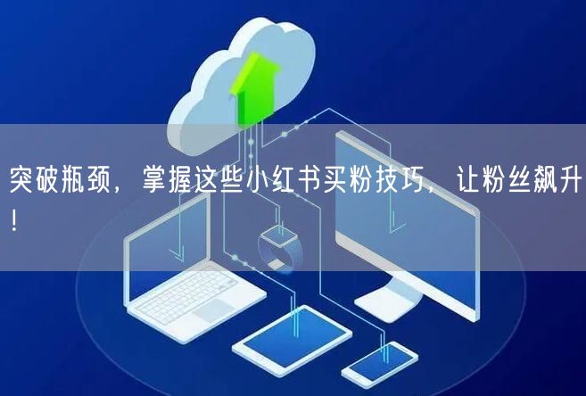 突破瓶颈，掌握这些小红书买粉技巧，让粉丝飙升！
