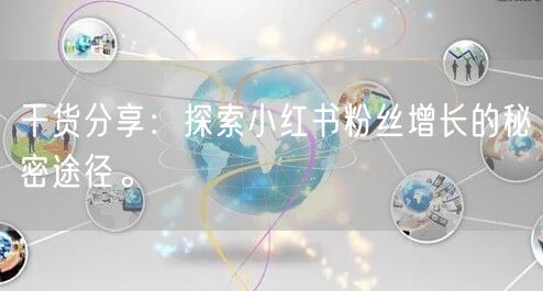 干货分享：探索小红书粉丝增长的秘密途径。