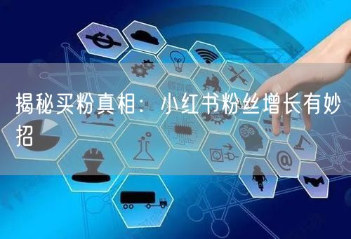 揭秘买粉真相：小红书粉丝增长有妙招